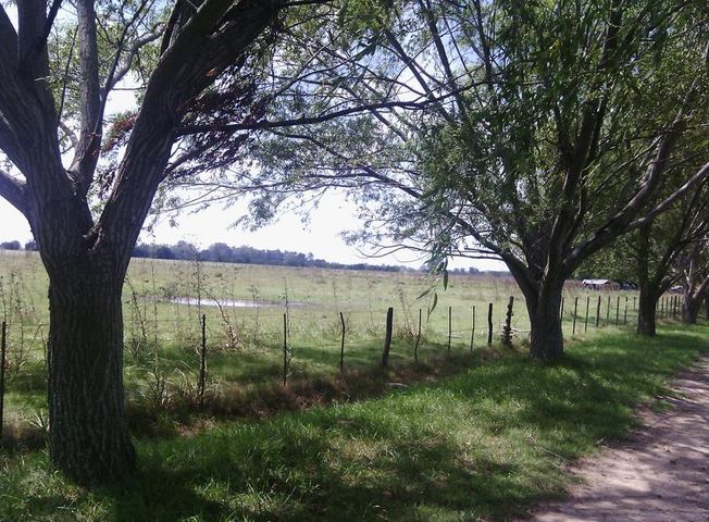 place photo 36