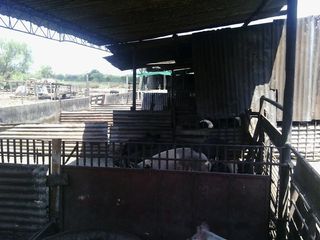 Foto 6 de Campo - San Miguel Del Monte