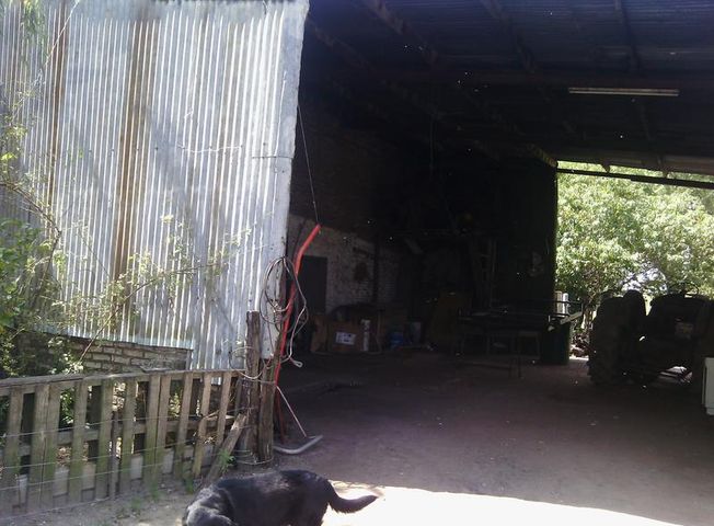 place photo 14