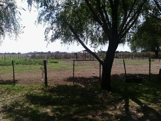 Foto 30 de Campo - San Miguel Del Monte