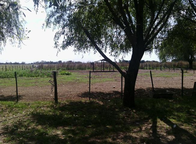 place photo 30