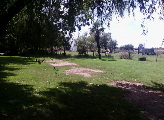 place photo 19