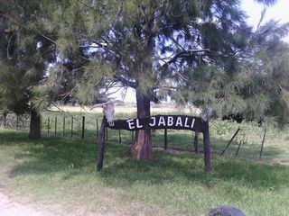 Foto 1 de Campo - San Miguel Del Monte