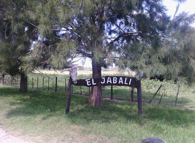 place photo 1