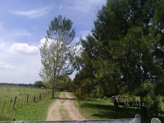 Foto 16 de Campo - San Miguel Del Monte