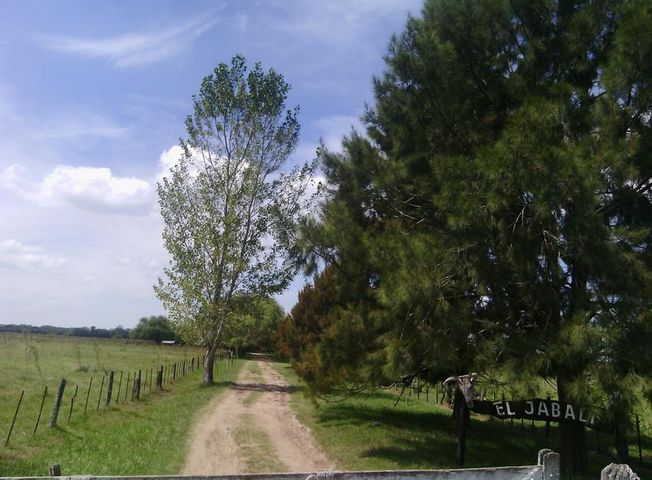 place photo 16