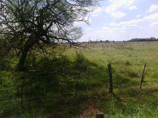 Foto 23 de Campo - San Miguel Del Monte