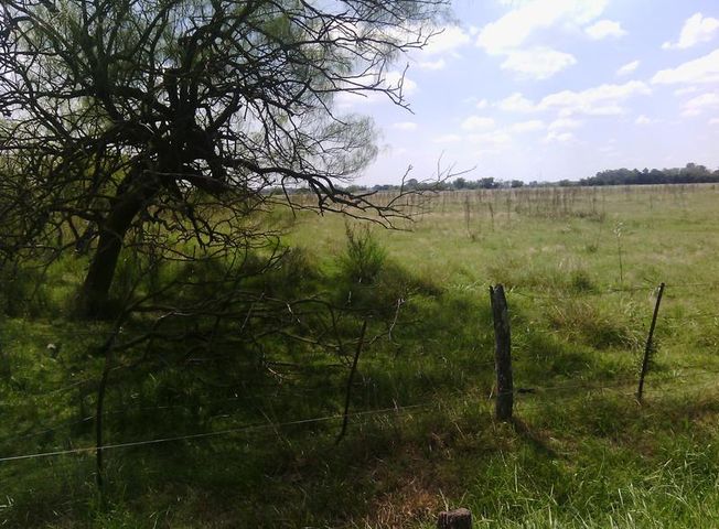 place photo 23
