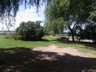 Foto 31 de Campo - San Miguel Del Monte