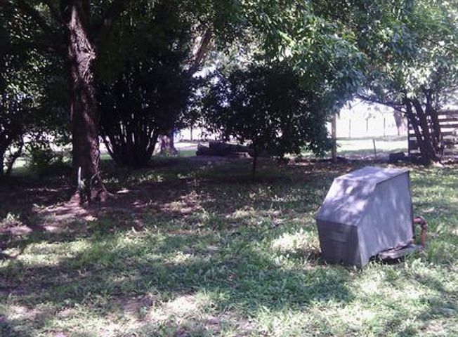 place photo 41