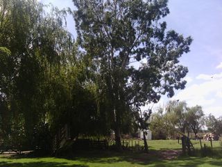 Foto 28 de Campo - San Miguel Del Monte