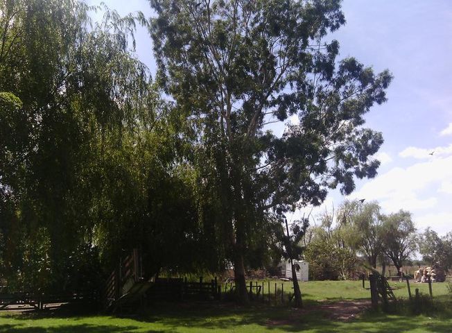 place photo 28