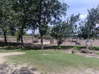 Foto 37 de Campo - San Miguel Del Monte