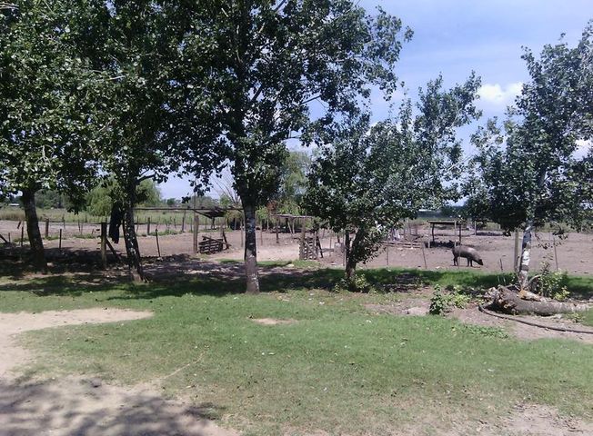 place photo 37