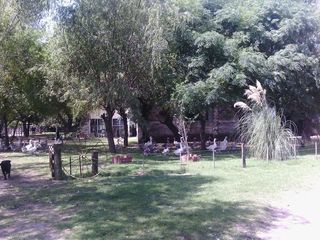 Foto 39 de Campo - San Miguel Del Monte