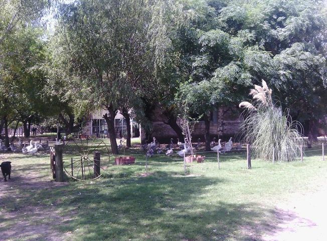 place photo 39
