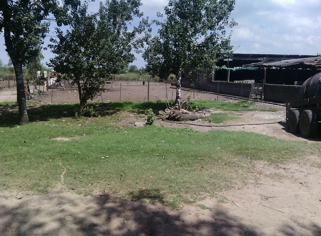 place photo 29