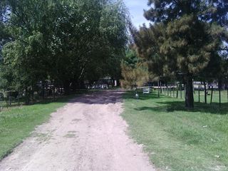 Foto 26 de Campo - San Miguel Del Monte