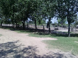 Foto 34 de Campo - San Miguel Del Monte