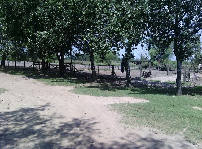 place photo 34