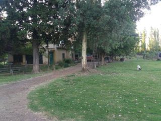 Foto 9 de Chacra en  VENTA EN VILLA ALBERDI