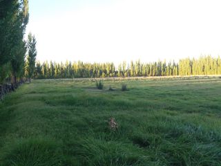 Foto 7 de Chacra en  VENTA EN VILLA ALBERDI