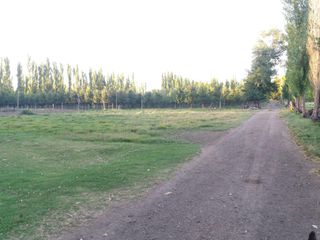 Foto 8 de Chacra en  VENTA EN VILLA ALBERDI