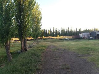 Foto 4 de Chacra en  VENTA EN VILLA ALBERDI