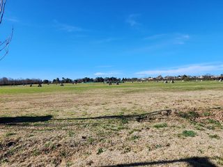 Foto 43 de VENTA LOTE - Los Cardos - PILAR