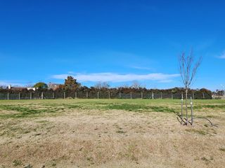 Foto 89 de VENTA LOTE TERRENO - Los Cardos - PILAR
