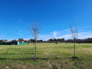 Foto 39 de VENTA LOTE TERRENO - Los Cardos - PILAR
