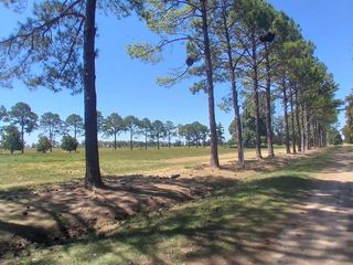 Foto 5 de Se vende terreno country Los Molinos