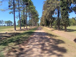 Foto 6 de Se vende terreno country Los Molinos