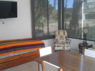 Foto 10 de Departamento - Carilo