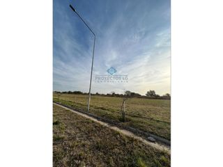 Foto 1 de VENTA - LOTES 2000 M2 - COLINAS DE SINSACATE