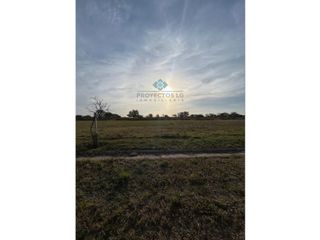Foto 4 de VENTA - LOTES 2000 M2 - COLINAS DE SINSACATE