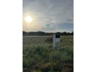 Foto 5 de VENTA - LOTES 2000 M2 - COLINAS DE SINSACATE