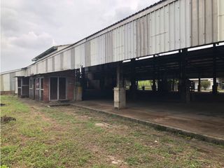 Foto 10 de BODEGA - SANTANDER