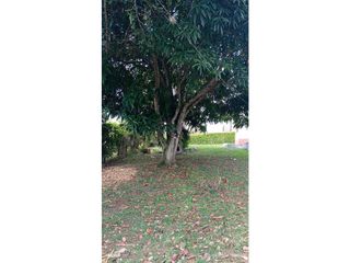 Foto 10 de SE VENDE PARCELA CON CASA EN LEBRIJA - AEROPUERTO - ALTAR DE LOS REYES
