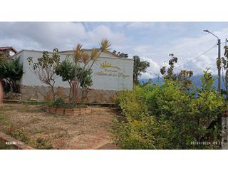 Foto 57 de SE VENDE PARCELA CON CASA EN LEBRIJA - AEROPUERTO - ALTAR DE LOS REYES