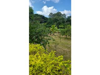 Foto 15 de Venta de Quinta Amueblada, Pucará, Sector Las Palmas, 1873 m²