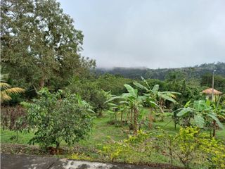 Foto 16 de Venta de Quinta Amueblada, Pucará, Sector Las Palmas, 1873 m²