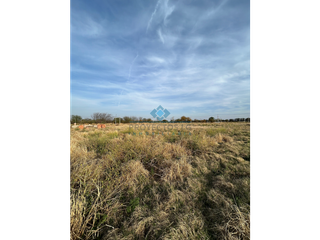 Foto 6 de VENTA-LOTE EN LOS ALGARROBOS-SINSACATE