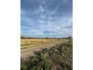 Foto 2 de VENTA-LOTE EN LOS ALGARROBOS-SINSACATE