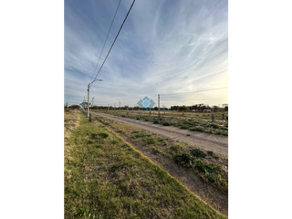 Foto 7 de VENTA-LOTE EN LOS ALGARROBOS-SINSACATE