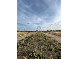 Foto 8 de VENTA-LOTE EN LOS ALGARROBOS-SINSACATE