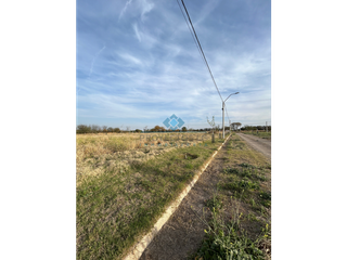 Foto 3 de VENTA-LOTE EN LOS ALGARROBOS-SINSACATE