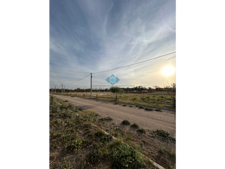 Foto 1 de VENTA-LOTE EN LOS ALGARROBOS-SINSACATE