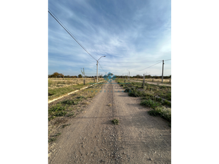 Foto 4 de VENTA-LOTE EN LOS ALGARROBOS-SINSACATE