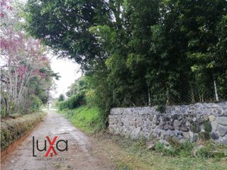 Foto 6 de LUXA VENDE LOTE PARCELACION LOS ALPES.VA PANAMERICANA